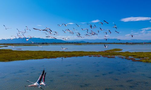 Delta de l’Èbre : immersion durable entre eau, nature et Barcelone 