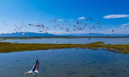 Delta de l’Èbre : immersion durable entre eau, nature et Barcelone