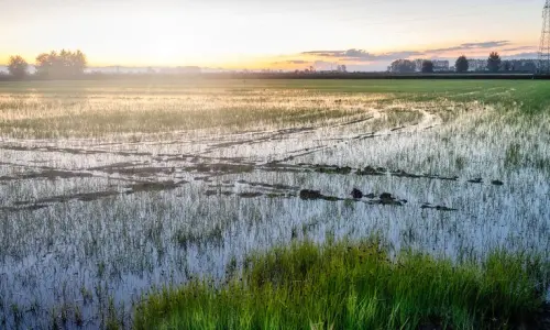 Développement durable entre Piémont et Lombardie