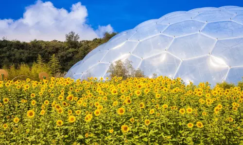 La Cornouailles, une région engagée dans le tourisme durable