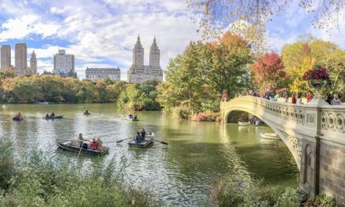 New-York à la carte