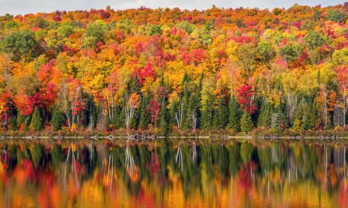 Escapade Montréal et Quebec
