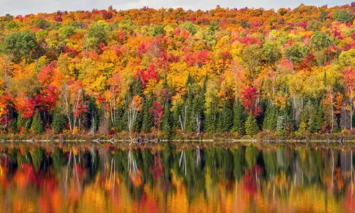 Escapade Montréal et Quebec