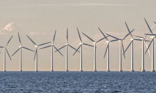 Ecologie en Scandinavie