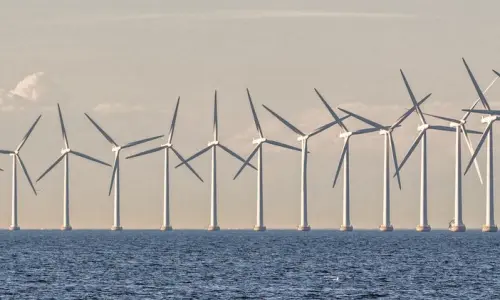 Ecologie en Scandinavie