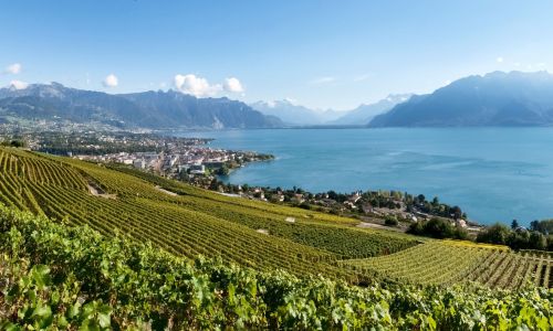 La Suisse verte : nature et écolo