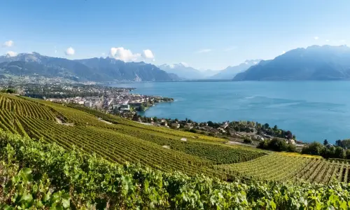 La Suisse verte : nature et écolo