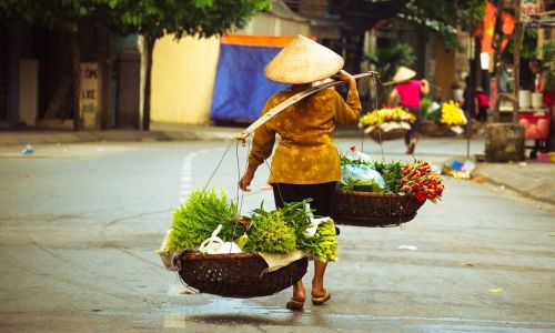 Culture et traditions dans le Nord Vietnam