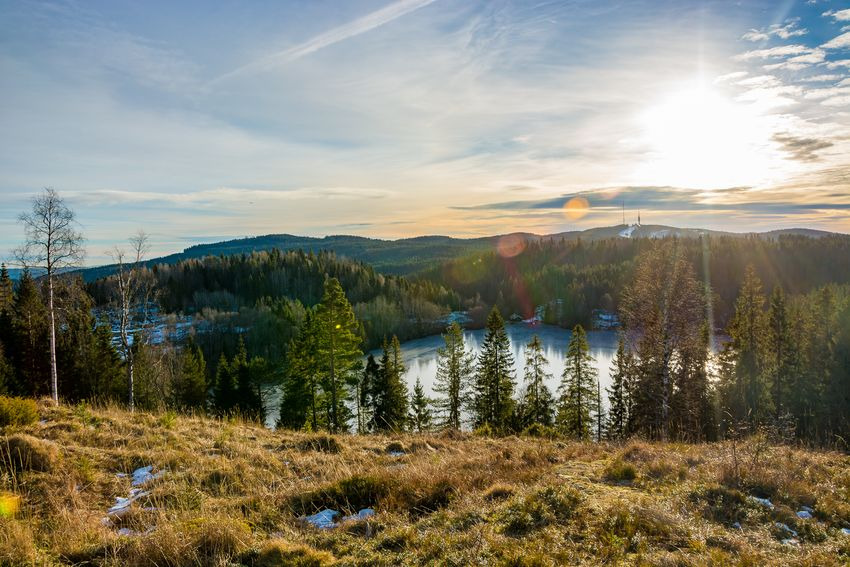 Voyage-scolaire-Norvège-Oslo-Forêt-de-Nordmarka