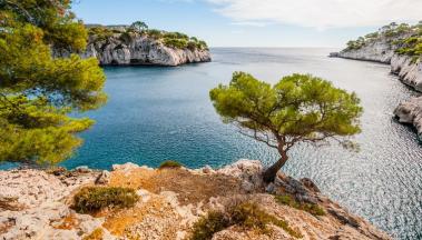 TRESORS NATURELS DE PROVENCE