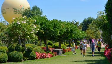 Terra Botanica