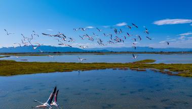 Voyage scolaire Développement Durable au Delta de l'Ebre